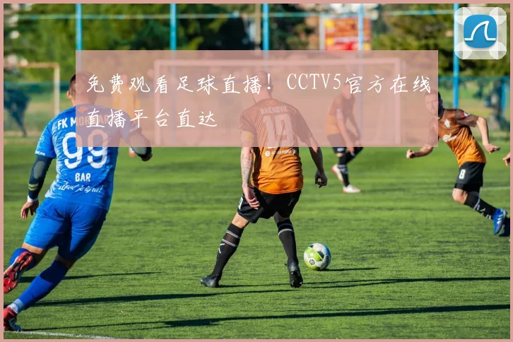 免费观看足球直播!CCTV5官方在线直播平台直达