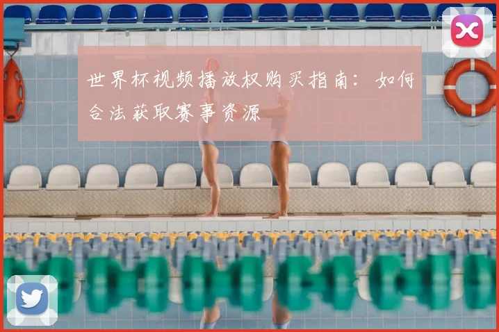 世界杯视频播放权购买指南：如何合法获取赛事资源